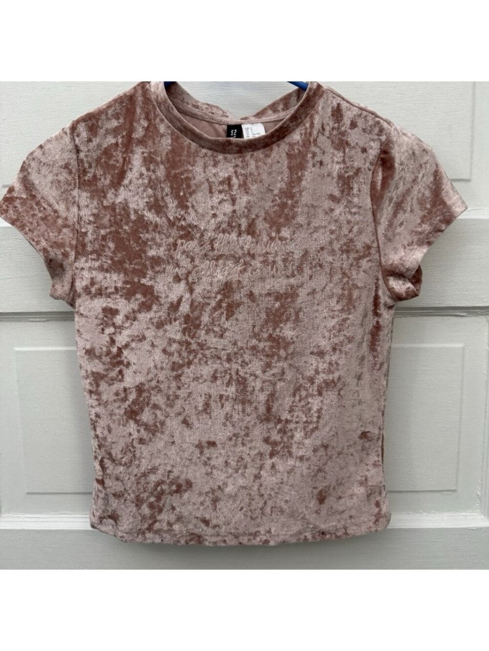 H&M Divided Women’s S Pink Crushed Velvet Pass The Tissues Crop Top